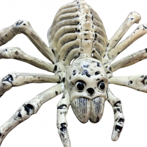 H72536 - ARANHA CAVEIRA DE PLASTICO 24 X 12 X 5 cm      